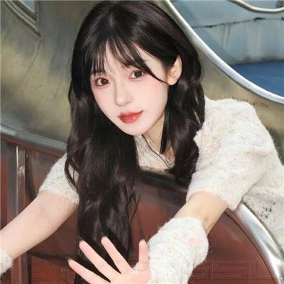 超人与蝙蝠侠：全民公敌