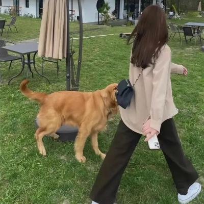 翻兜情人