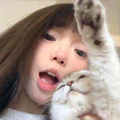 一日雄狮